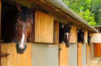 free Nettlecombe stable construction quotes